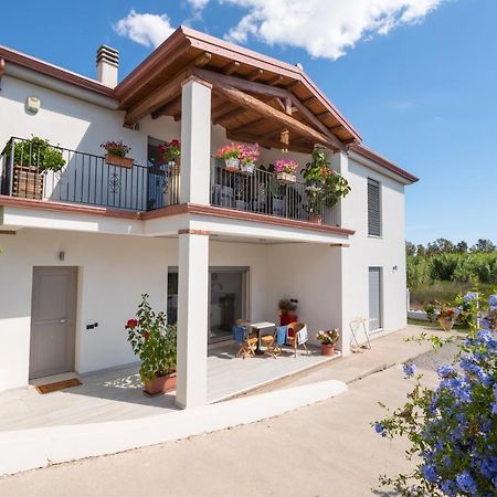 トルトリ Giglio Marino Bed & Breakfast エクステリア 写真